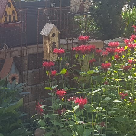 20190726_110227